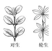 詹姆斯泸州老窖天府中学赛后发声的简单介绍|CQ9捕鱼游戏官网